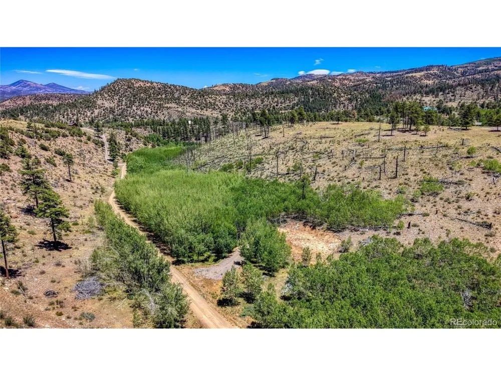 302 Rickel Circle South Fork, CO 81154
