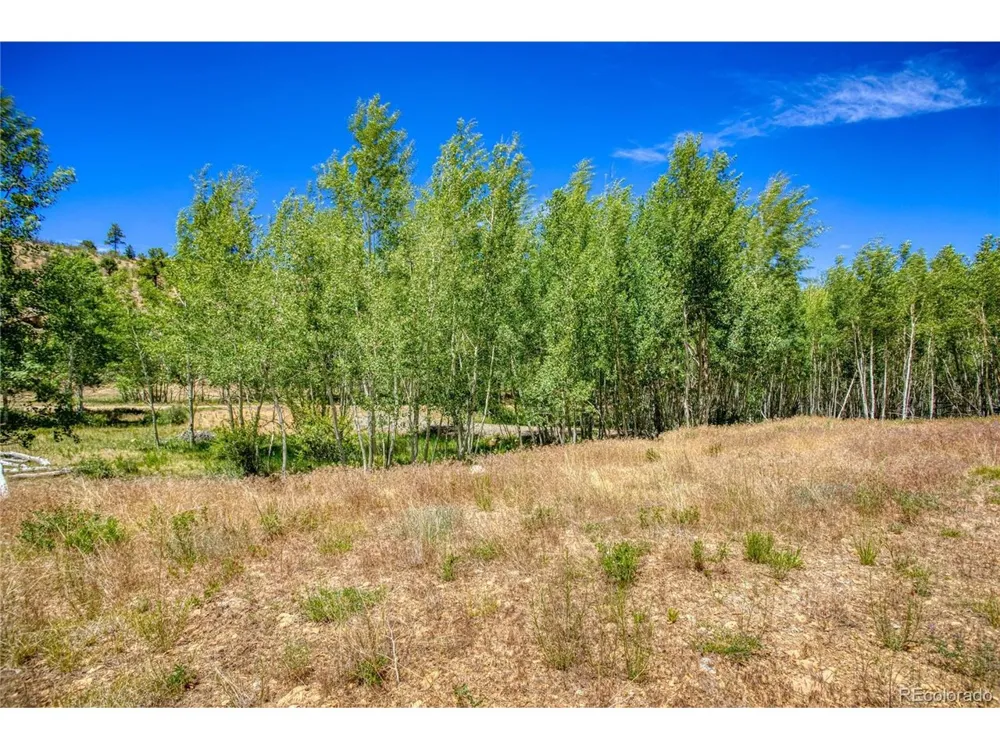 302 Rickel Circle South Fork, CO 81154