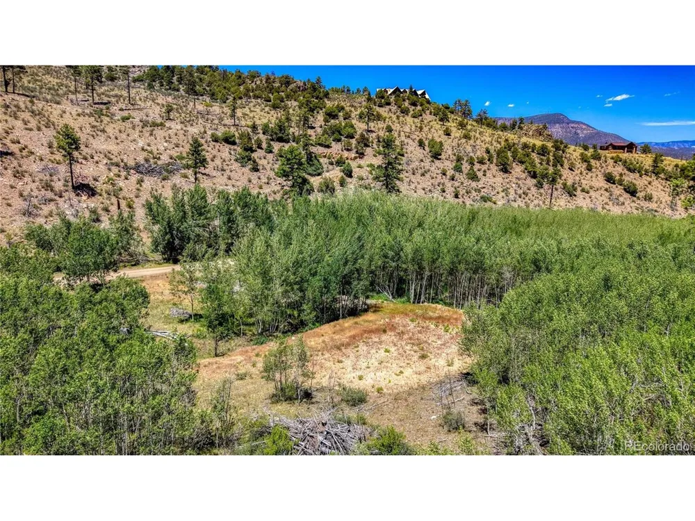302 Rickel Circle South Fork, CO 81154