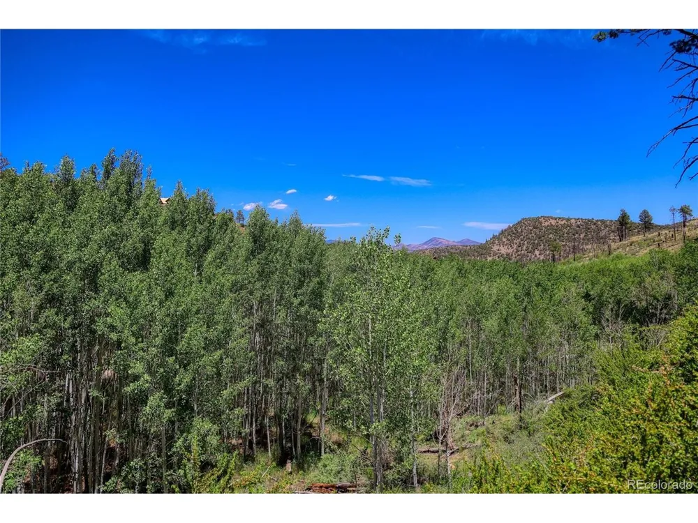 302 Rickel Circle South Fork, CO 81154