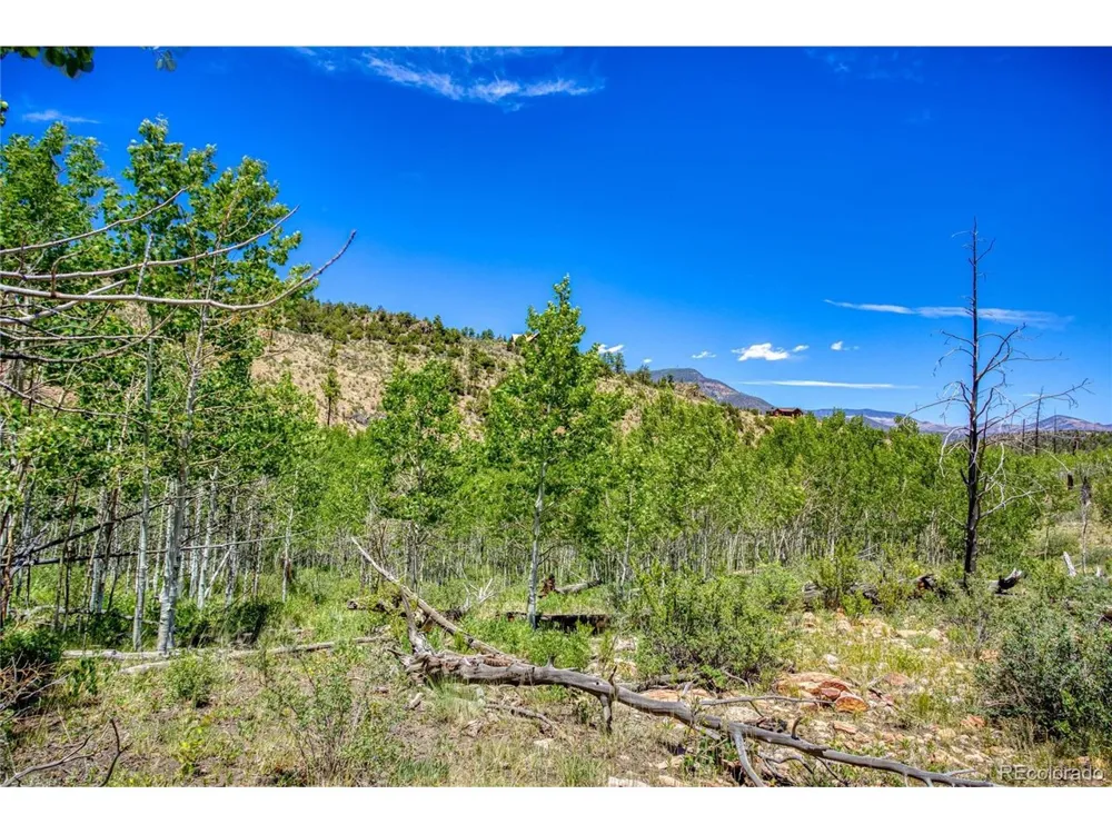 302 Rickel Circle South Fork, CO 81154