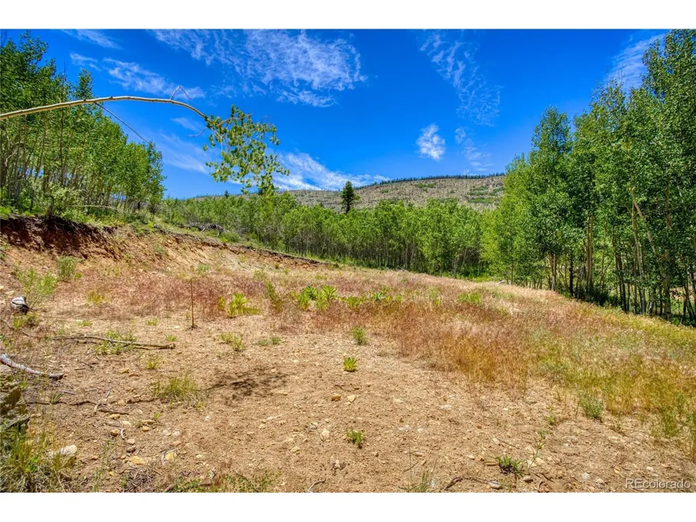 302 Rickel Circle South Fork, CO 81154