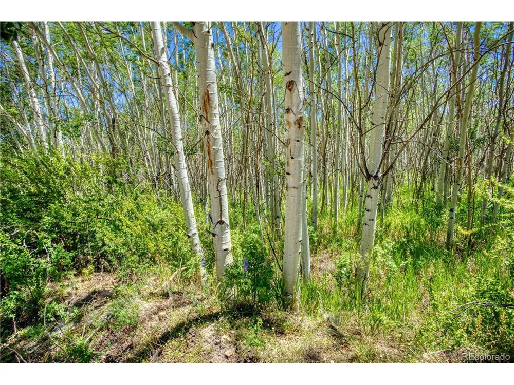 302 Rickel Circle South Fork, CO 81154