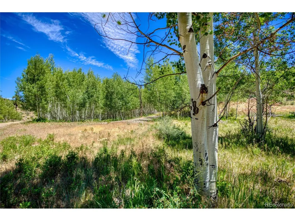 302 Rickel Circle South Fork, CO 81154