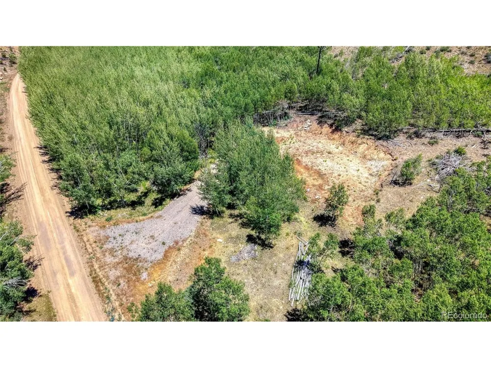 302 Rickel Circle South Fork, CO 81154