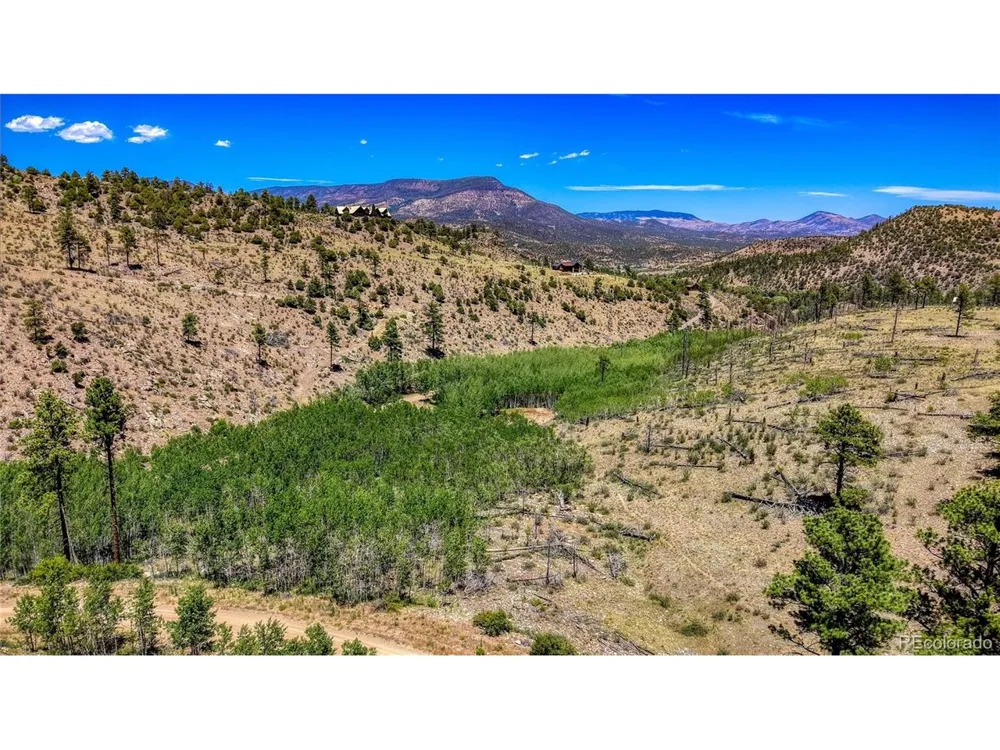 302 Rickel Circle South Fork, CO 81154