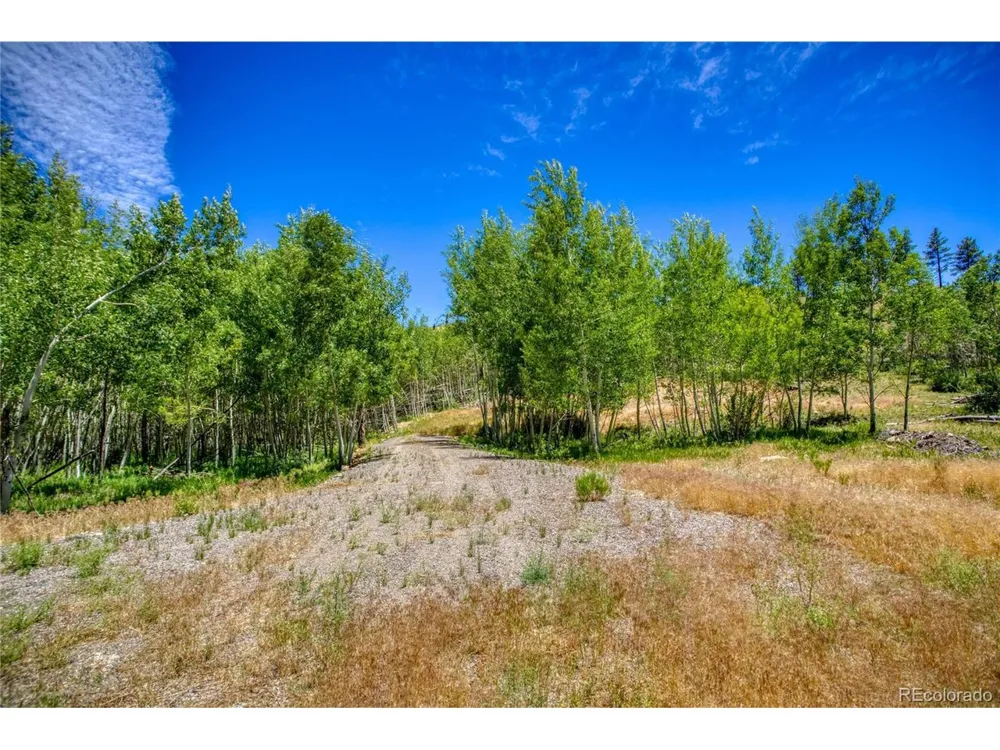 302 Rickel Circle South Fork, CO 81154