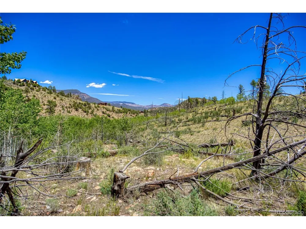 302 Rickel Circle South Fork, CO 81154