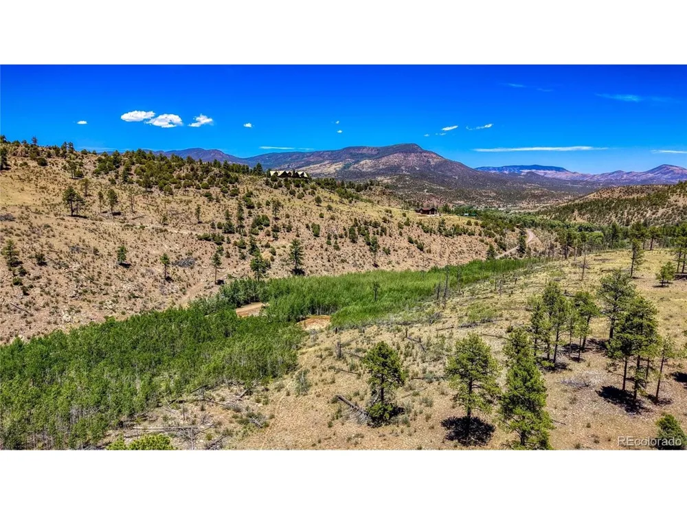 302 Rickel Circle South Fork, CO 81154