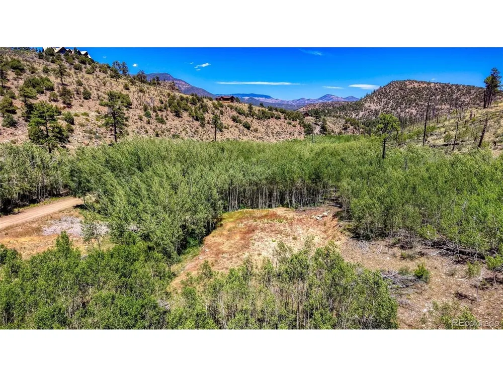 302 Rickel Circle South Fork, CO 81154