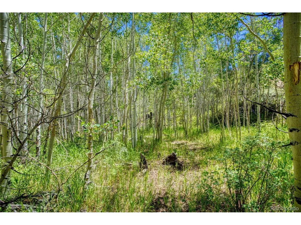 302 Rickel Circle South Fork, CO 81154