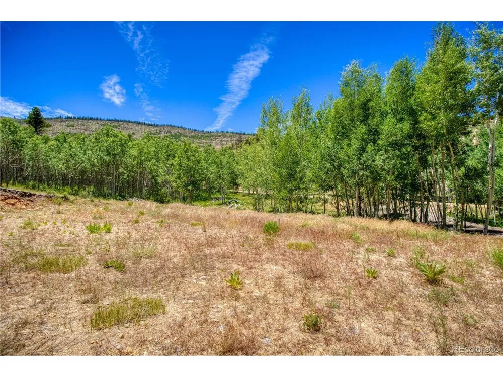 302 Rickel Circle South Fork, CO 81154
