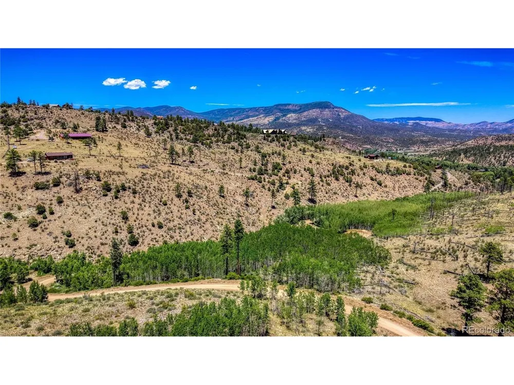 302 Rickel Circle South Fork, CO 81154