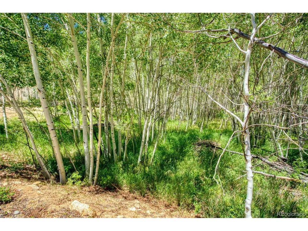 302 Rickel Circle South Fork, CO 81154