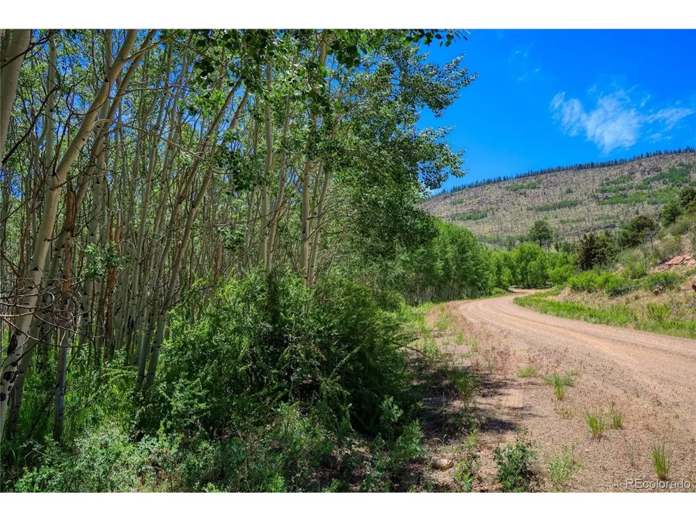 302 Rickel Circle South Fork, CO 81154