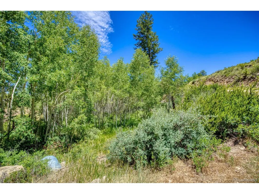 302 Rickel Circle South Fork, CO 81154