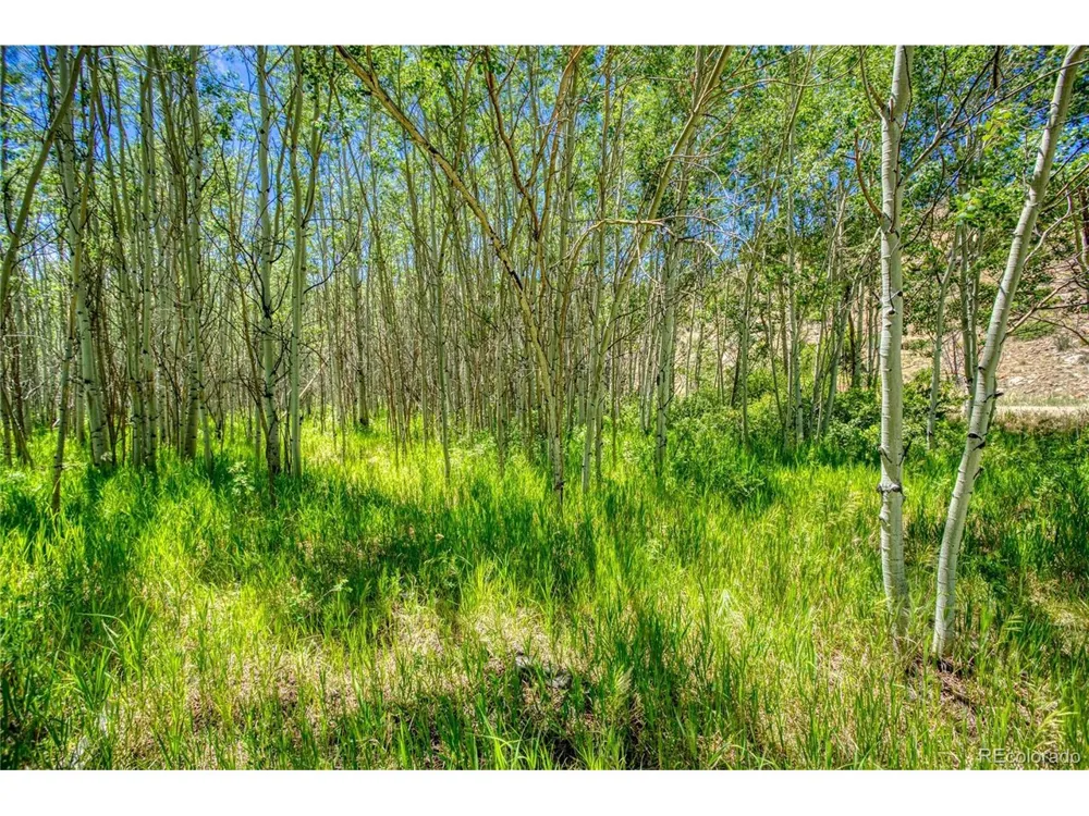 302 Rickel Circle South Fork, CO 81154