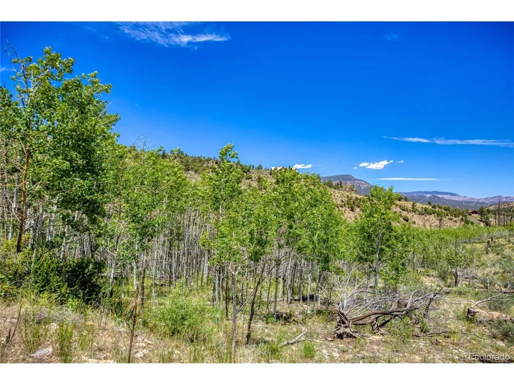 302 Rickel Circle South Fork, CO 81154