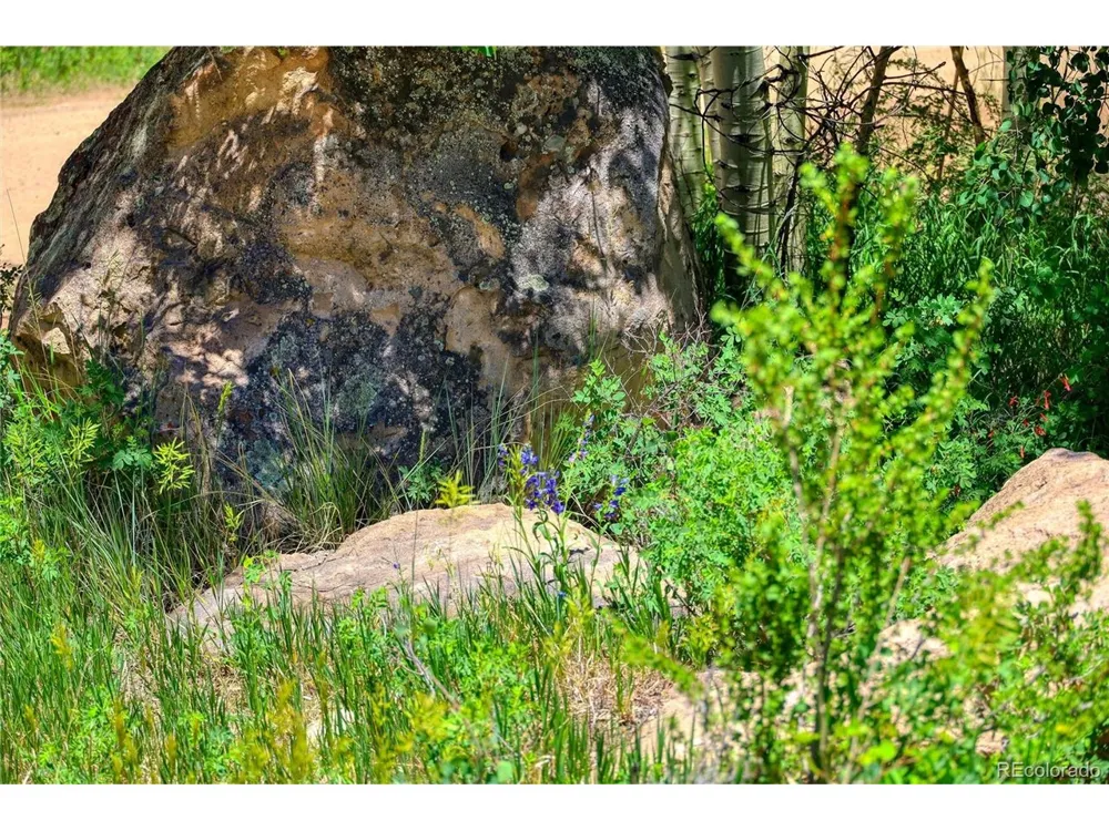 302 Rickel Circle South Fork, CO 81154