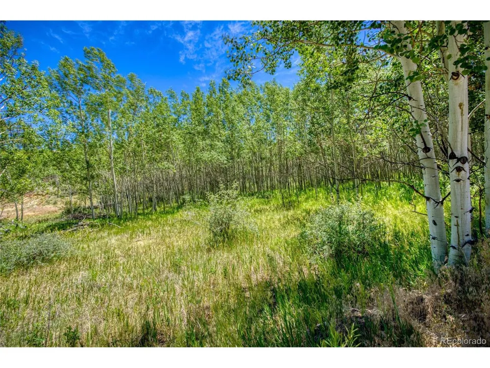 302 Rickel Circle South Fork, CO 81154