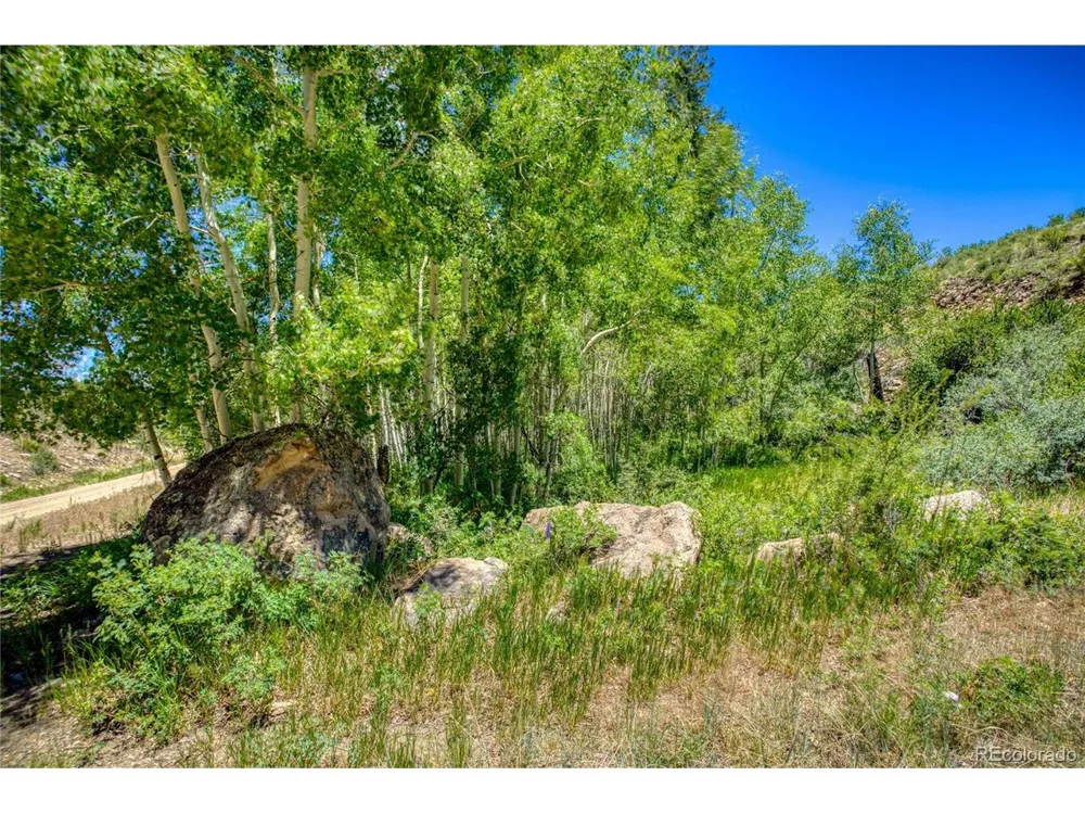302 Rickel Circle South Fork, CO 81154