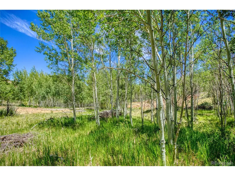 302 Rickel Circle South Fork, CO 81154