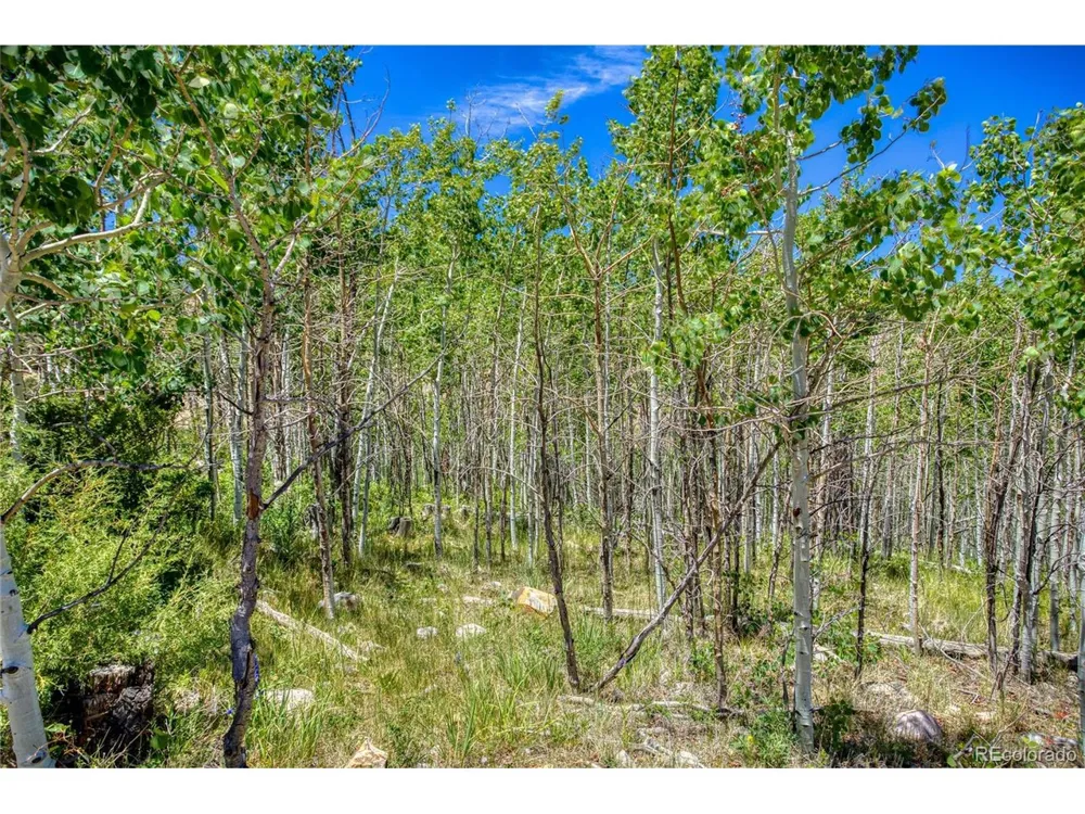 302 Rickel Circle South Fork, CO 81154