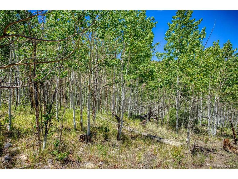 302 Rickel Circle South Fork, CO 81154