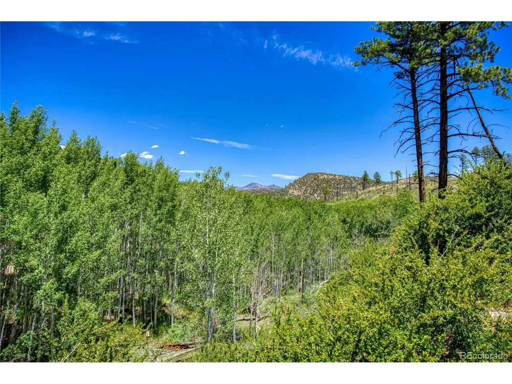 302 Rickel Circle South Fork, CO 81154