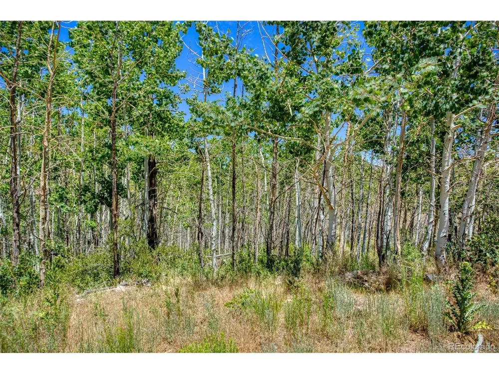 302 Rickel Circle South Fork, CO 81154