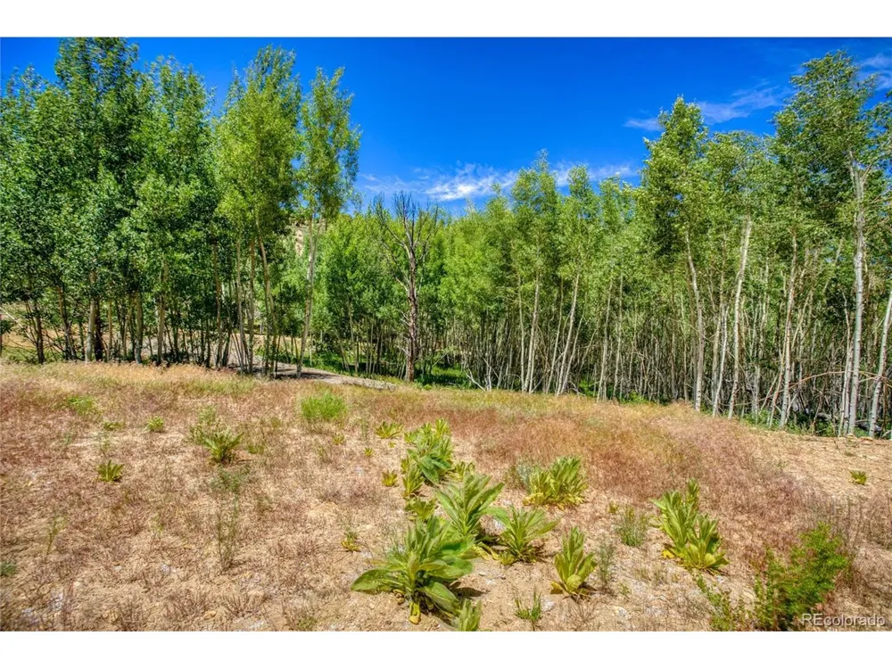 302 Rickel Circle South Fork, CO 81154