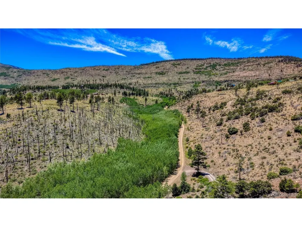 302 Rickel Circle South Fork, CO 81154