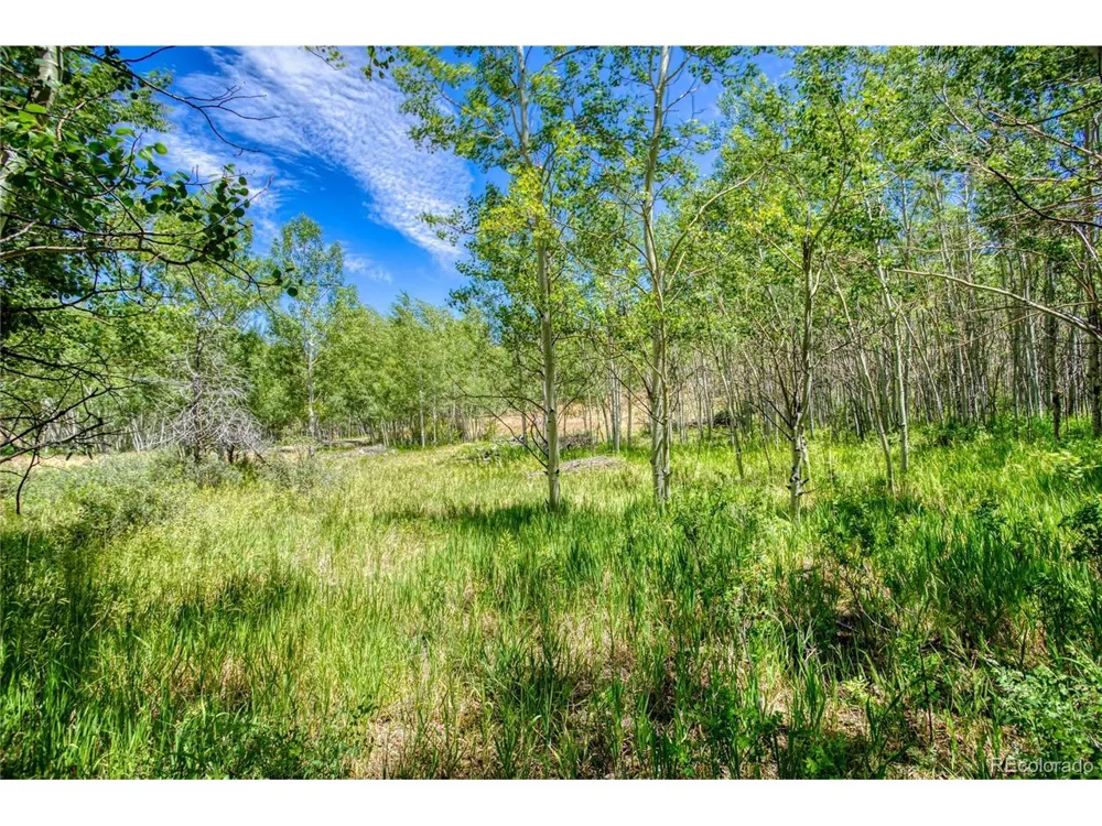 302 Rickel Circle South Fork, CO 81154
