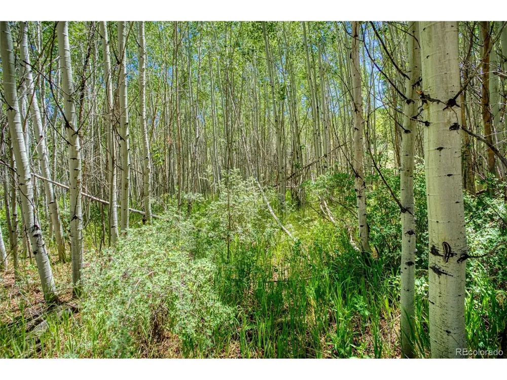 302 Rickel Circle South Fork, CO 81154