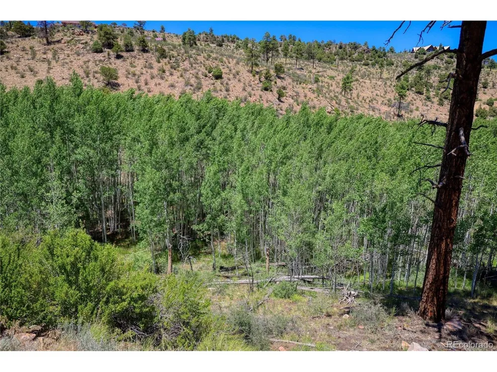 302 Rickel Circle South Fork, CO 81154
