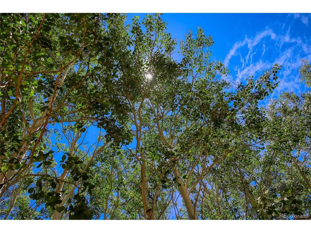 302 Rickel Circle South Fork, CO 81154