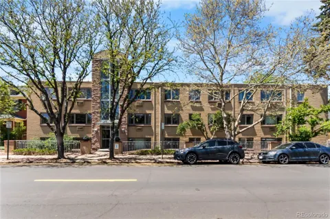 969 S Pearl Street #103