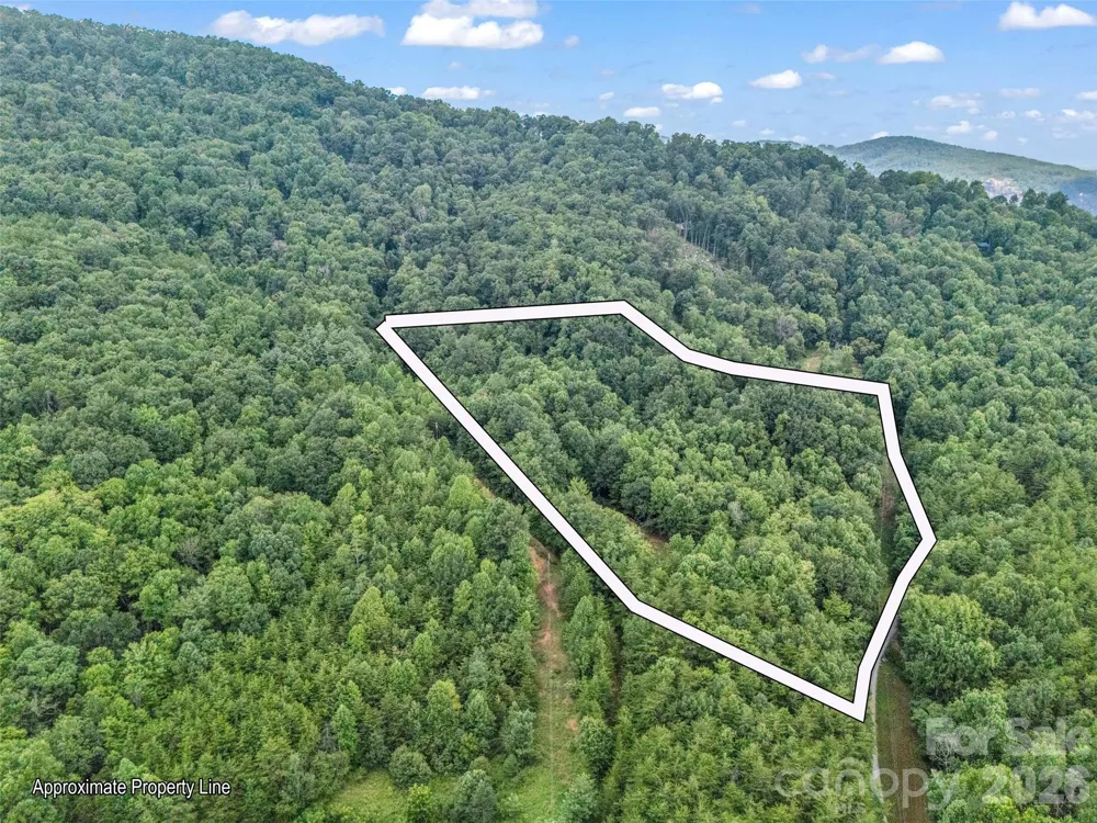 479 Camp Hill Road Lake Lure, NC 28756