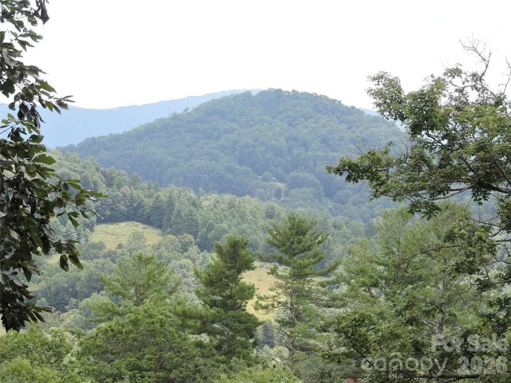 357 Rosewood Lane Burnsville, NC 28714