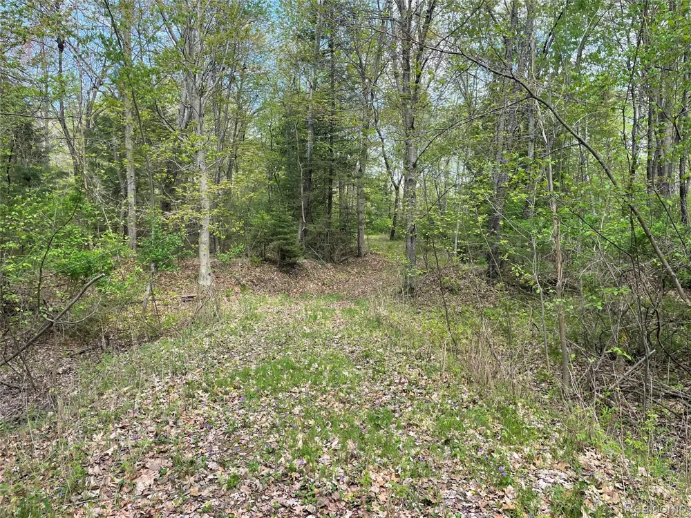 Oakridge Drive Sims Township, MI 48703