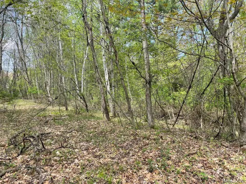 Oakridge Drive