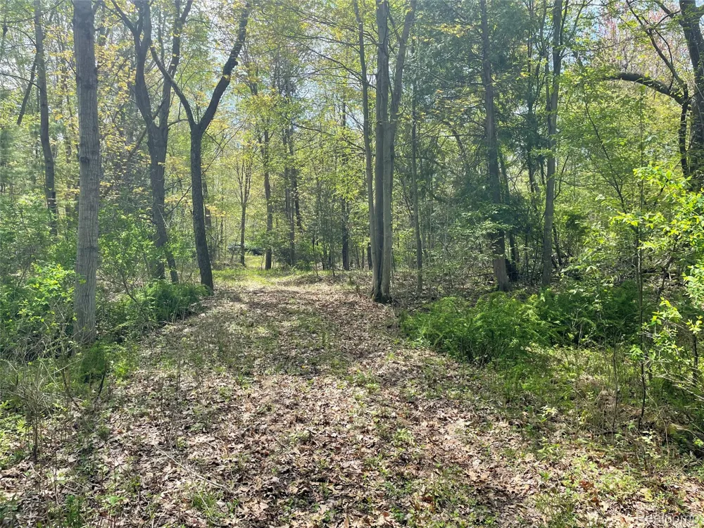 Oakridge Drive Sims Township, MI 48703