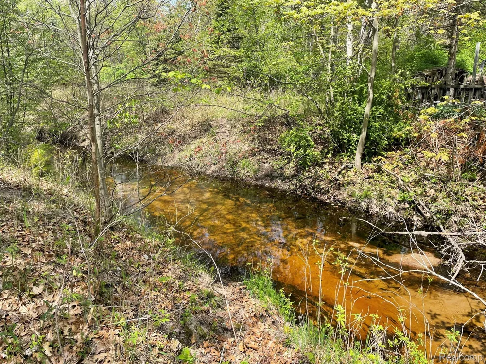 Oakridge Drive Sims Township, MI 48703