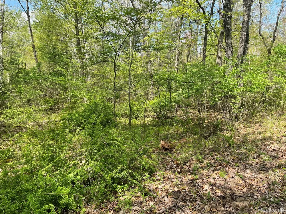Oakridge Drive Sims Township, MI 48703