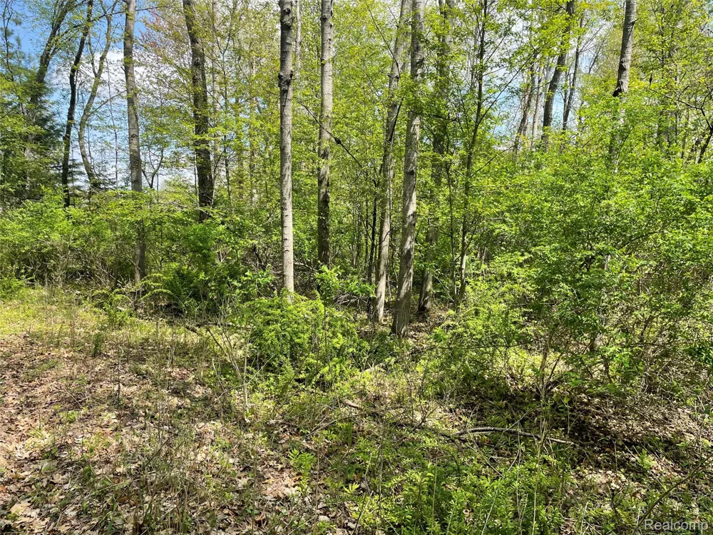 Oakridge Drive Sims Township, MI 48703