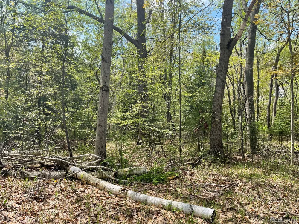 Oakridge Drive Sims Township, MI 48703