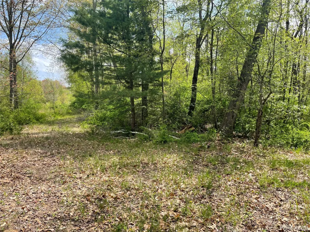 Oakridge Drive Sims Township, MI 48703