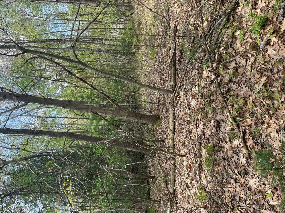 Oakridge Drive Sims Township, MI 48703