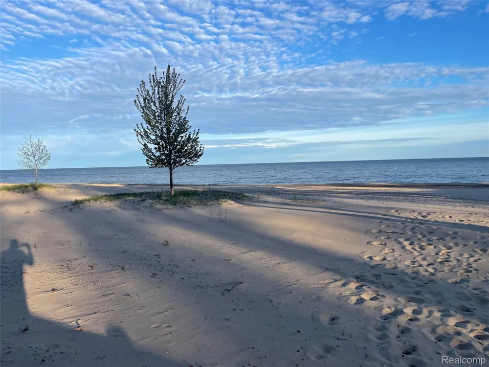 Oakridge Drive Sims Township, MI 48703