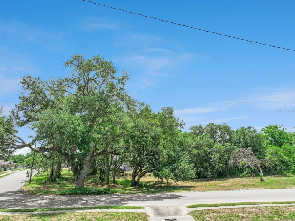 0 LAKESHORE BOULEVARD Haines City, FL 33844